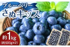 ブルーベリー さぬキッス 約1kg (約500g×2）