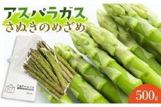 アスパラガス アスパラ さぬきのめざめ 約 500g 夏芽｜オリジナル品種 香川県 さぬき市