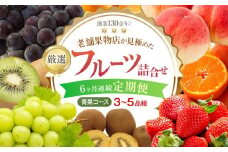 【6ヶ月連続定期便】創業130余年！老舗果物店が見極めた、厳選フルーツ詰合せ♪【青果コース】（3～5品種）