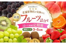 【12ヶ月連続定期便】創業130余年！老舗果物店が見極めた、厳選フルーツ詰合せ♪【青果コース】（3～5品種）