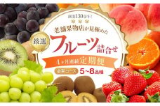 【4ヶ月連続定期便】創業130余年！老舗果物店が見極めた、厳選フルーツ詰合せ♪【金果コース】（5～8品種）