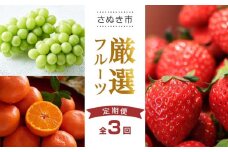 【全3回】さぬき市厳選フルーツ定期便