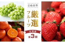 【全3回】さぬき市厳選フルーツ定期便