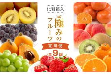 【全9回】極みのフルーツ定期便 (化粧箱入り)