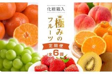 【全6回】極みのフルーツ定期便 (化粧箱入り)