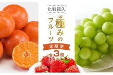 【全3回】極みのフルーツ定期便 (化粧箱入り)