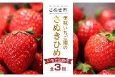 【全3回】美味いちご園のさぬきひめいちご定期便