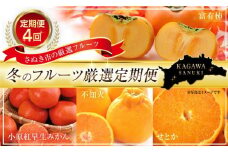 【定期便全4回】さぬき市冬のフルーツ厳選定期便 柿 みかん 不知火【旬 人気 果物 くだもの フルーツ 香川県】