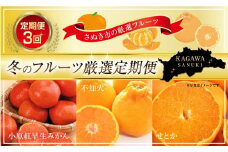 【定期便全3回】さぬき市冬のフルーツ厳選定期便 (小原紅早生みかん しらぬひ せとか)【旬 人気 果物 くだもの フルーツ 柑橘 香川県 】