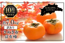 訳あり 富有柿 約7kg (約25個～30個) 柿 かき 果物 フルーツ