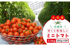 【11月中旬頃～発送】ミニトマト 大容量 2.4kg 小分け 200g×12パック