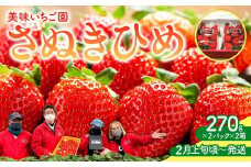 【2月上旬頃～発送】美味いちご園「さぬきひめ」さぬきひめ 270g×4パック