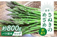 【2月下旬頃～発送】訳あり 規格外 さぬきのめざめ ロング 約800g 春芽