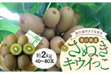 【11月上旬頃～発送】さぬきキウイっこ 約2kg (約40～80玉)