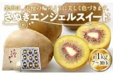 【11月上旬頃～発送】さぬきエンジェルスイートキウイ約1kg 化粧箱入り