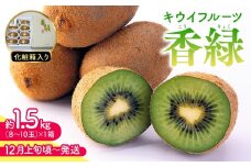 【11月下旬頃～発送】キウイフルーツ 香緑 (こうりょく) 約1.5kg 化粧箱入り