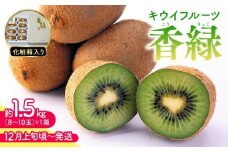 【11月下旬頃～発送】キウイフルーツ 香緑 (こうりょく) 約1.5kg 化粧箱入り