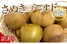 【10月中旬頃～発送】訳あり さぬきゴールド 約1.5kg