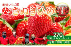 【12月上旬頃～発送】美味いちご園「さぬきひめ」大粒 270g×2パック