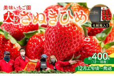 【12月上旬頃～発送】美味いちご園「さぬきひめ」化粧箱入り 400g
