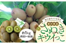 【11月上旬頃～発送】さぬきキウイっこ 約1kg (約20～50玉)