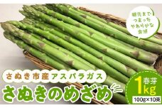 【3月中旬頃～発送】さぬき市産 アスパラガス さぬきのめざめ 春芽 1kg