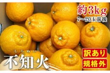 【2月下旬頃～発送】訳あり 規格外 不知火 (しらぬひ) 約3kg