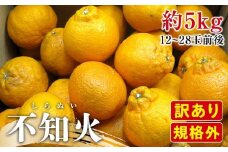 【2月下旬頃～発送】訳あり 規格外 不知火 (しらぬひ) 約5kg