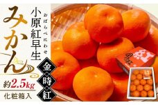 【11月下旬頃～発送】小原紅早生みかん 金時紅 約2.5kg 化粧箱入