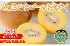【10月中旬頃～発送】さぬきゴールドキウイ 大玉 約 3.2kg