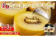 【10月中旬頃～発送】さぬきゴールドキウイ 特大3玉 化粧箱入り