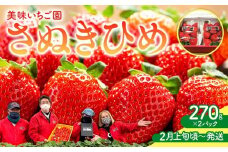 【2月上旬頃～発送】美味いちご園「さぬきひめ」さぬきひめ 270g×2パック