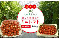 【3月下旬頃～発送】訳あり 規格外 ミニトマト 約2kg