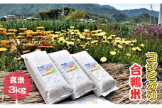 [№4631-1769]香川県産コシヒカリ（自然農法 合鴨米 3kg）玄米