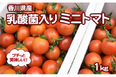[№4631-1765]プチッと美味しい！「乳酸菌入り ミニトマト1kg」初物
