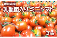 [№4631-1764]カラダに優しい「乳酸菌入り ミニトマト3kg」初物