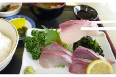 [№4631-1794]ひけた鰤　一尾（納期指定賜ります）