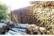 [№4631-1820]森のちから【五名の薪】20kg×10箱×3ヶ月＝600kg(配送不可:北海道・沖縄県・離島地域) アウトドア キャンプ