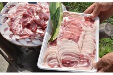 [№4631-1822]自然の恵み【五名産猪肉】700g
