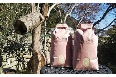 [№4631-1847]木村農園のつーちゃん米【10kg無洗米】