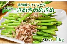 [№4631-1865]令和6年産　はなまる農園の乳酸菌入りアスパラ【さぬきのめざめ1kg】М～L