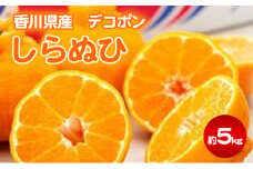 [№4631-1895]しらぬひ 約5kg デコポン