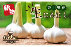 [№4631-1894]生にんにく（新物）5kg