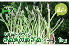 [№4631-1889]令和6年産　はなまる農園の乳酸菌入りアスパラ「さぬきのめざめ」少し訳あり 1kg（M～L）