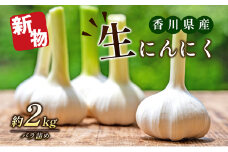 [№4631-1893]生にんにく（新物）2kg
