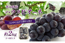 [№4631-1916]ハウスピオーネ 大房 3～6房 2kg 化粧箱 黒い真珠 ピオーネ 葡萄 ぶどう ブドウ フルーツ 果物 くだもの 果実 旬の果物 旬のフルーツ 贈答用 ギフト プレゼント 香川 香川県 東かがわ市