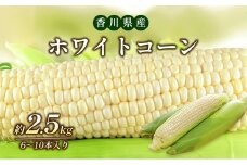 [№4631-1933]ホワイトコーン（ピュアホワイト）約2.5kg