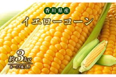 [№4631-1934]イエローコーン 　約3kg 野菜 とうもろこし 野菜セット
