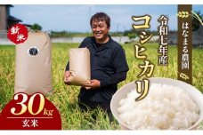 [№4631-1951]はなまる農園令和7年新米香川県産「コシヒカリ（玄米）30kg」