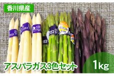 [№4631-1974]アスパラガス3色セット 1kg